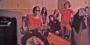 The Flamin’ Groovies The Flamin’ Groovies