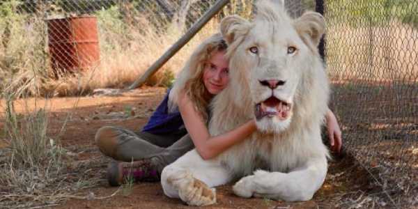 Mia y el león blanco. Ciclo de cine familiar 2020