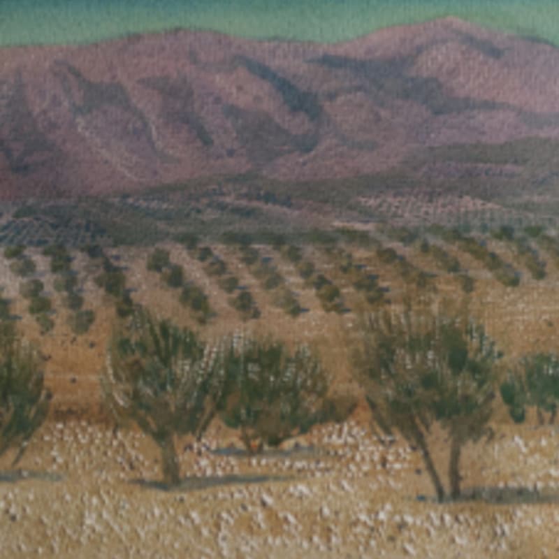 Contemplando la naturaleza. Manuel Kayser