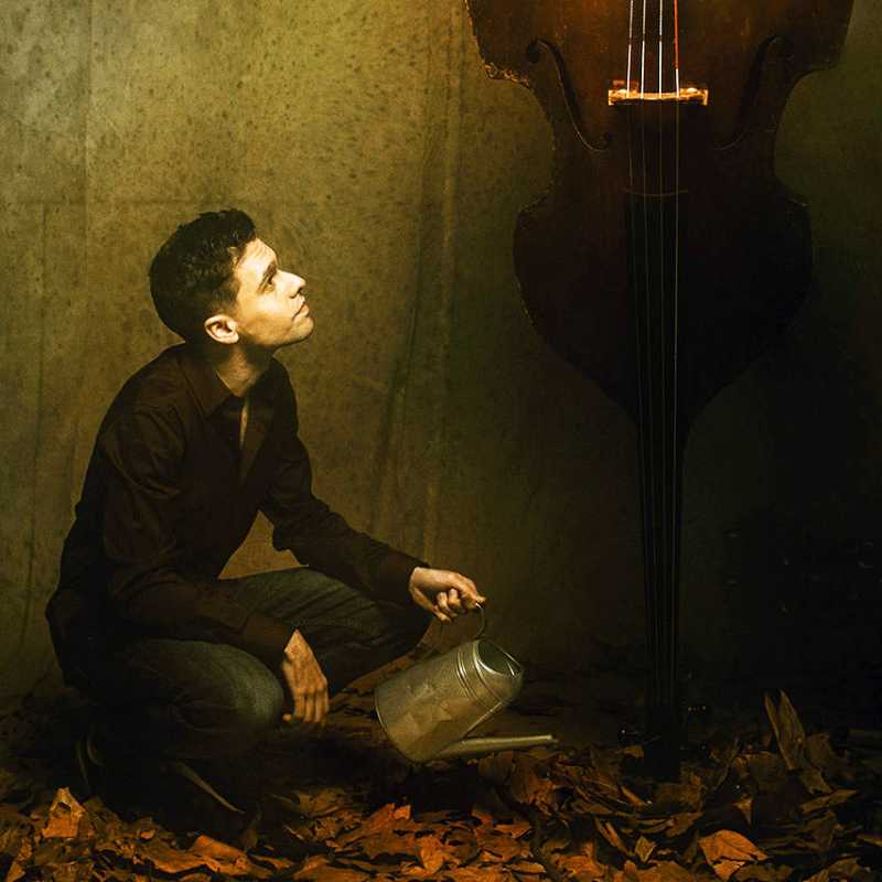 Pau Lligadas “Madera Viva”