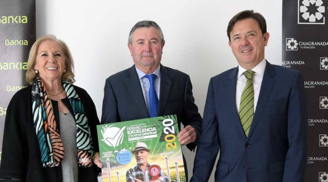 La presidenta de CajaGranada Fundación, María Elena Martín-Vivaldi; el presidente de la Fundación Miguel García Sánchez, Miguel García Puertas, y el director corporativo de la Territorial de Bankia en Andalucía, Joaquín Holgado.