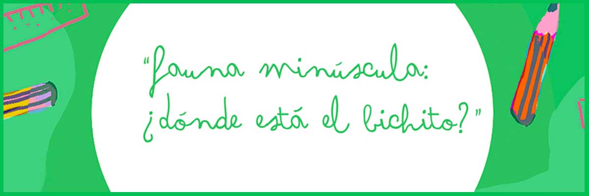 Actividad del programa 'El Museo en casa': Fauna minúscula