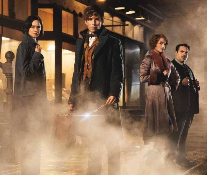 Fotograma de la película 'Animales fantásticos y dónde encontrarlos'