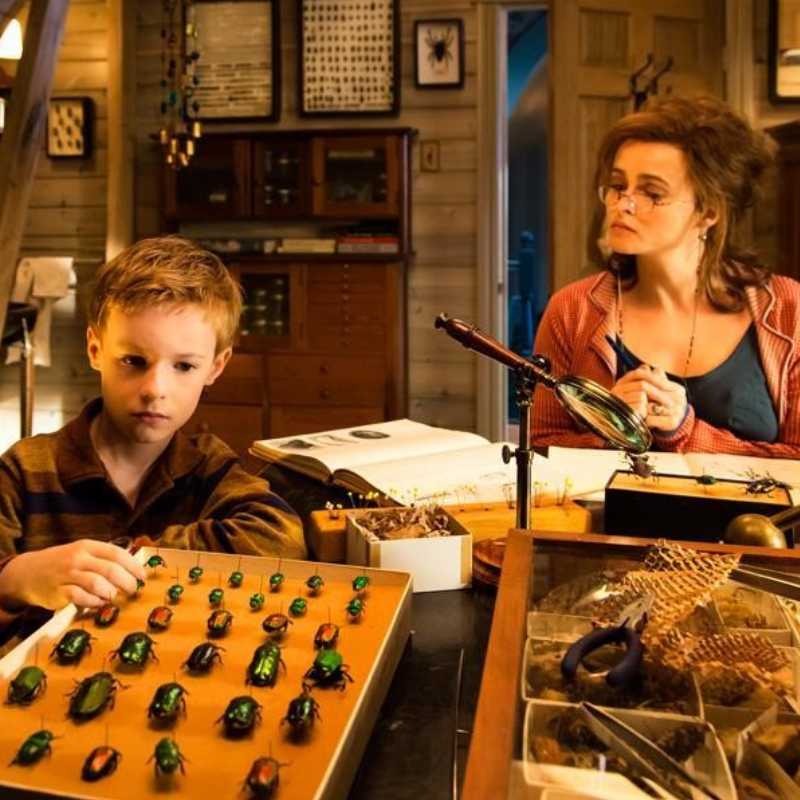 PROYECCIÓN CANCELADA. El extraordinario viaje de T.S. Spivet. Ciclo de cine familiar 2020