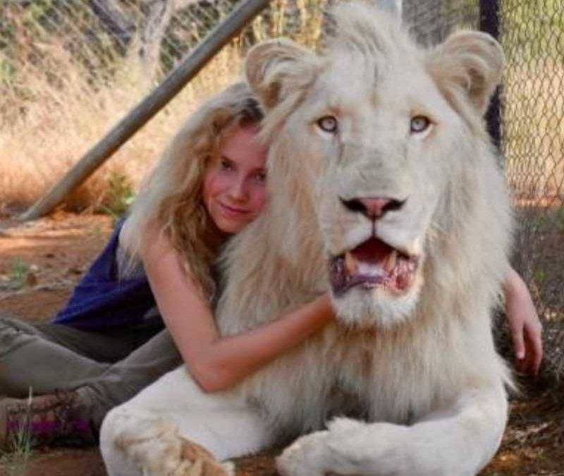 Fotograma de la película 'Mia y el león blanco'