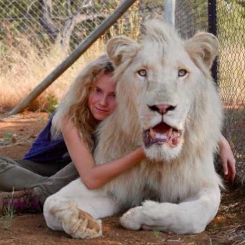 Fotograma de la película 'Mia y el león blanco'