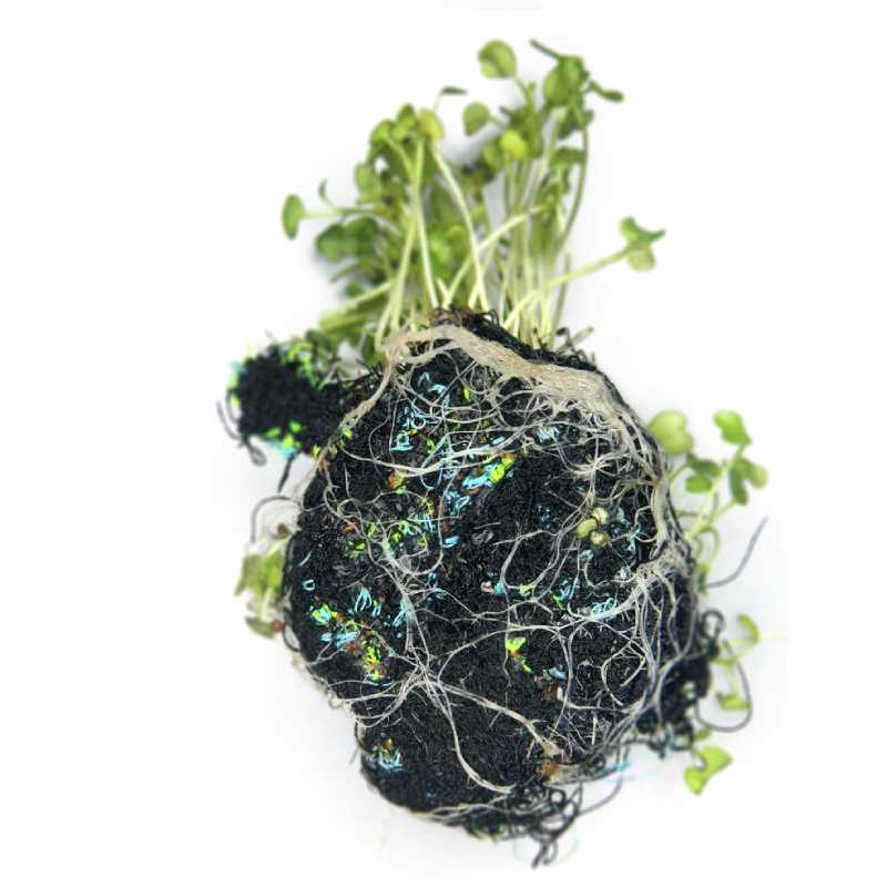 Alexandra Knie. Bio-embroidery – Studies of hybrid models