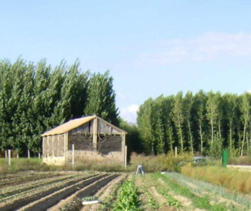 Imagen de la Vega de Granada