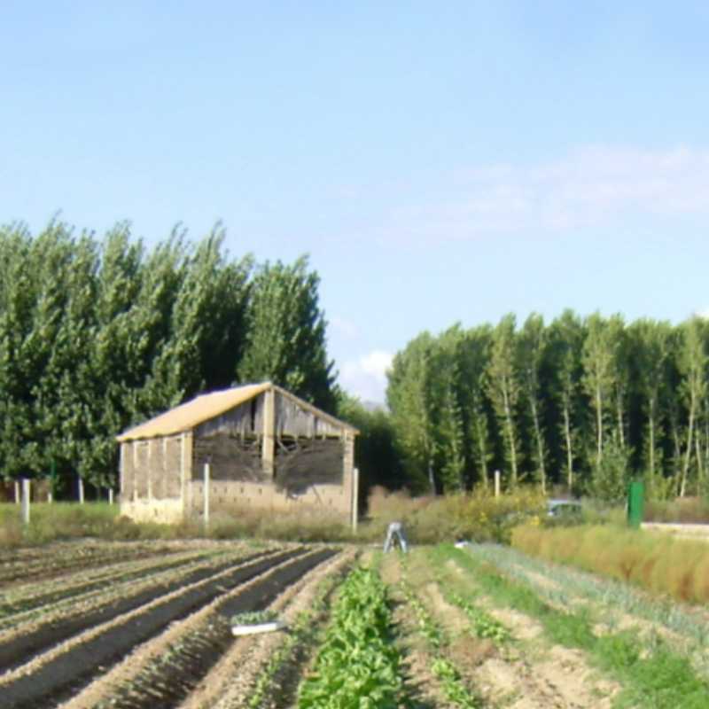 Imagen de la Vega de Granada