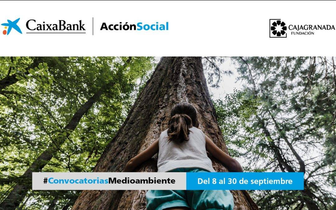Niña abrazada a un árbol