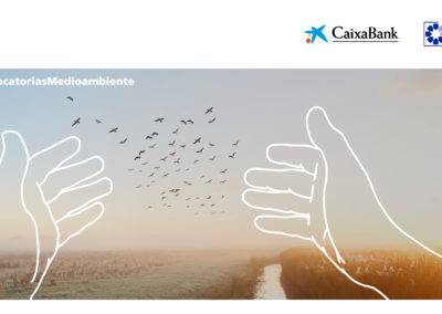 Medioambiente