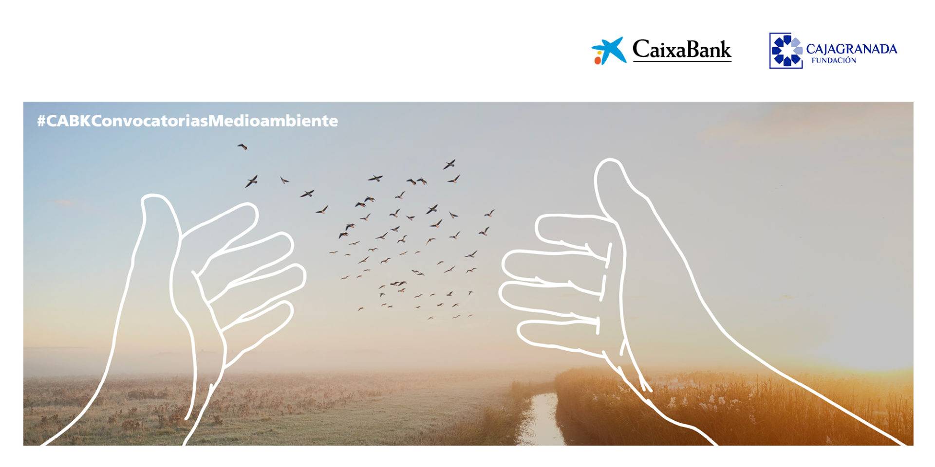 Convocatoria de Medioambiente 2022 Manos dirigidas hacia unos pájaros