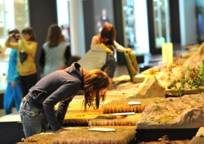 El Museo Memoria de Andalucía se suma a la celebración del Día de Andalucía con una programación especial de actividades y una Jornada de Puertas Abiertas el 2 de marzo